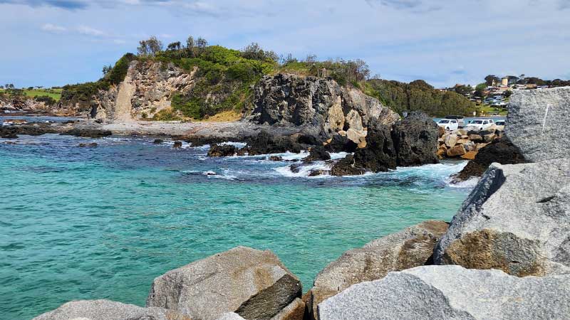 Narooma-seal-rest-point3