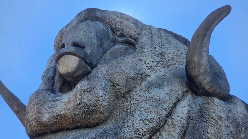 The-big-Merino(Goulburn)2