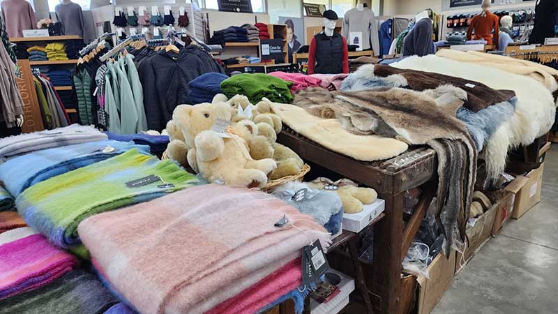 The-big-Merino(Goulburn)5