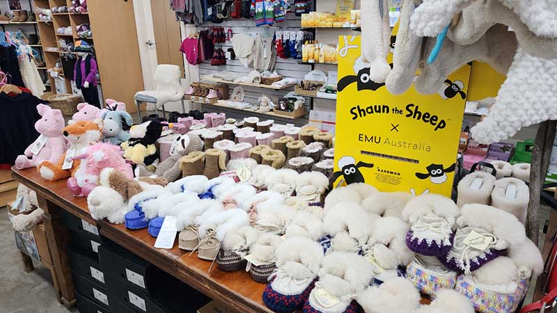 The-big-Merino(Goulburn)6