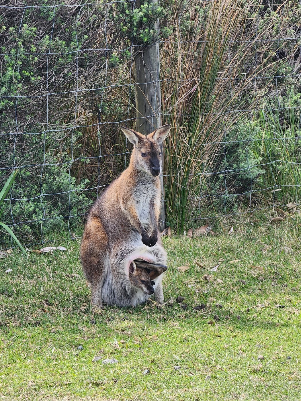 KakaoTalk_20241009_125156774