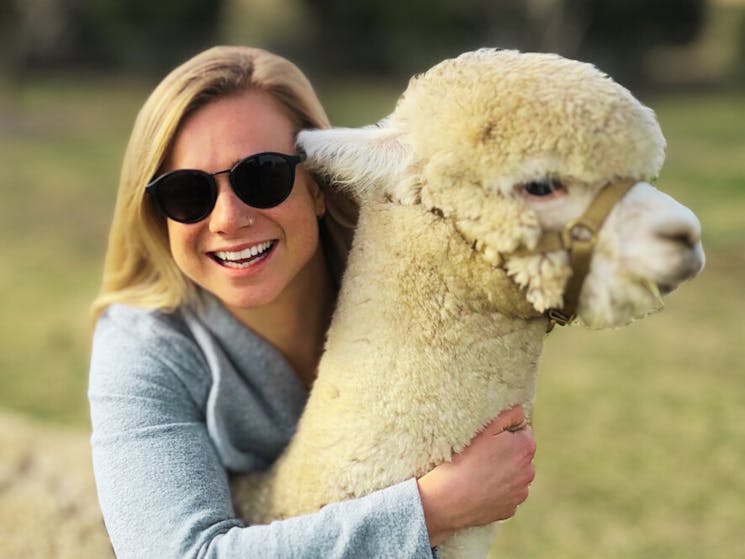 03f1335a4595142e8ba907f08eb5c5a4