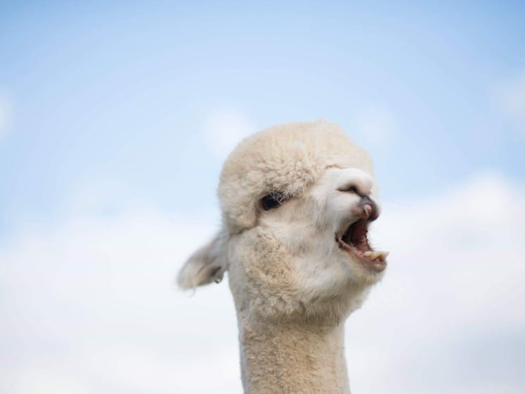 5841f3e941ad80a62d7a80870344f87a