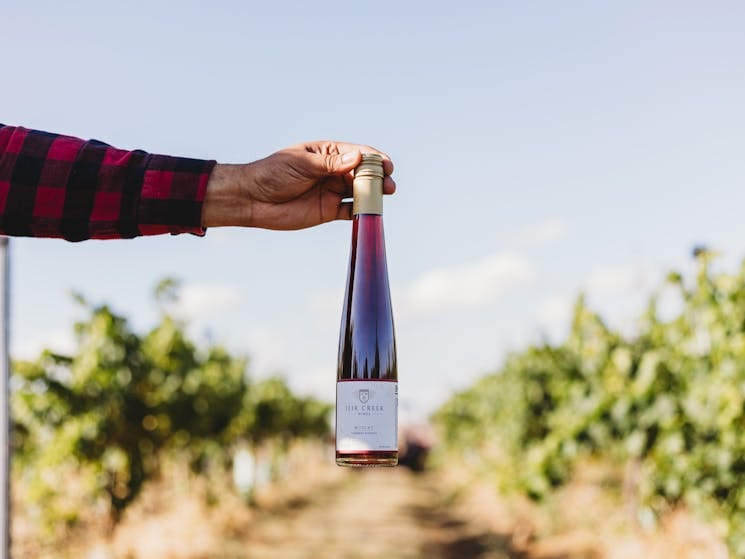 f275d4c125cfa5786f66a9ef2821af64